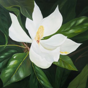 "Магнолия" х. м. 70  х 70 