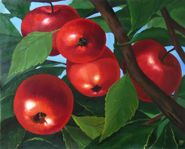 "Яблоки" х. м. 79 х 98