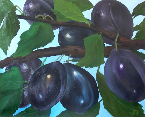 "Сливы" х. м. 79 х 98