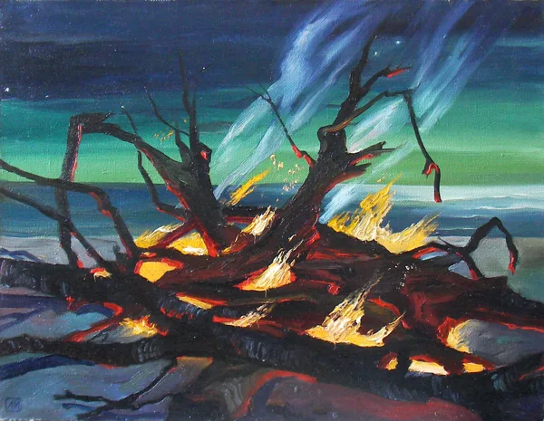 "Морской костер" х. м. 50 х 60